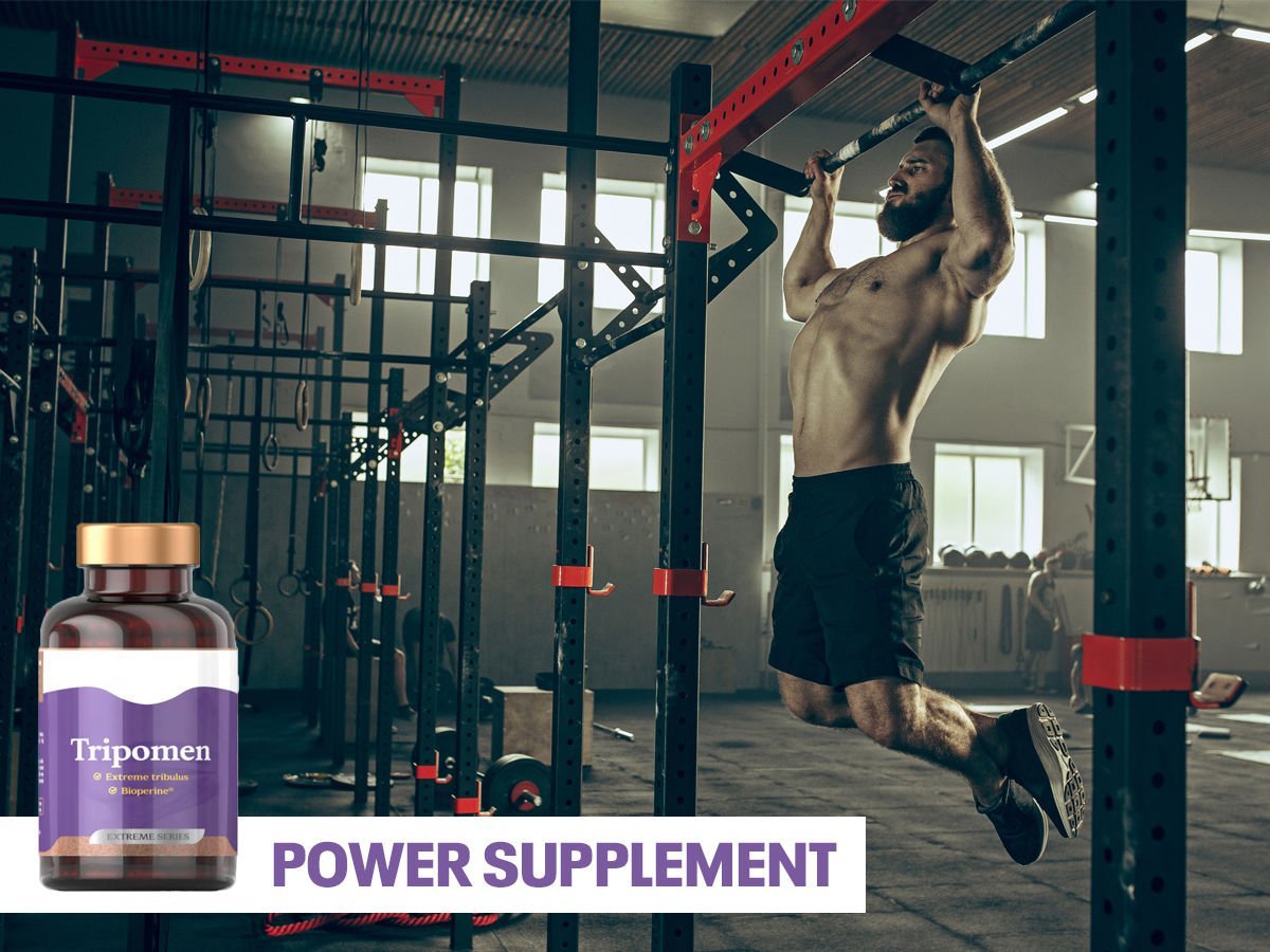 Power Supplement