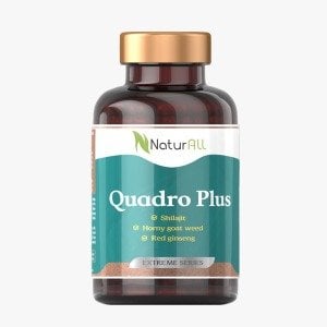 Quadro Plus